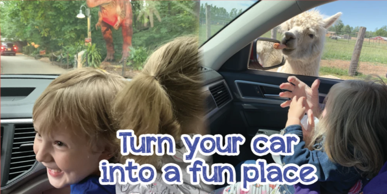 8 Fun Family Social distancing Ideas From The Comfort of Your Car